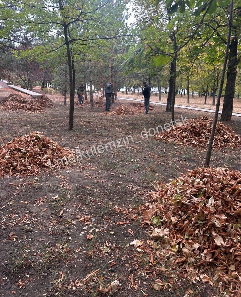 Даже когда небо затянуто серыми облаками, а холодный ветер шуршит пожелтевшими листьями, жизнь в городских парках продолжается, радуя Дончан и гостей города Даже когда небо затянуто серыми облаками, а холодный ветер шуршит пожелтевшими листьями, жизнь в городских парках продолжается, радуя Дончан и гостей города