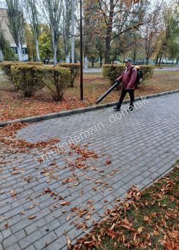Даже когда небо затянуто серыми облаками, а холодный ветер шуршит пожелтевшими листьями, жизнь в городских парках продолжается, радуя Дончан и гостей города