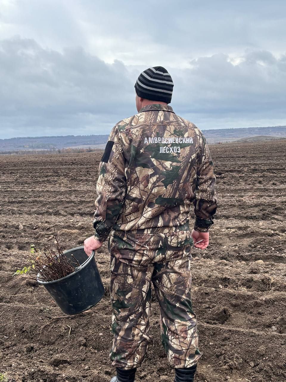 Сотрудники Минприроды ДНР приняли участие в акции «Сохраним лес» Сотрудники Минприроды ДНР приняли участие в акции «Сохраним лес»