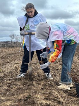 Фоторепортаж акции "Сохраним лес"