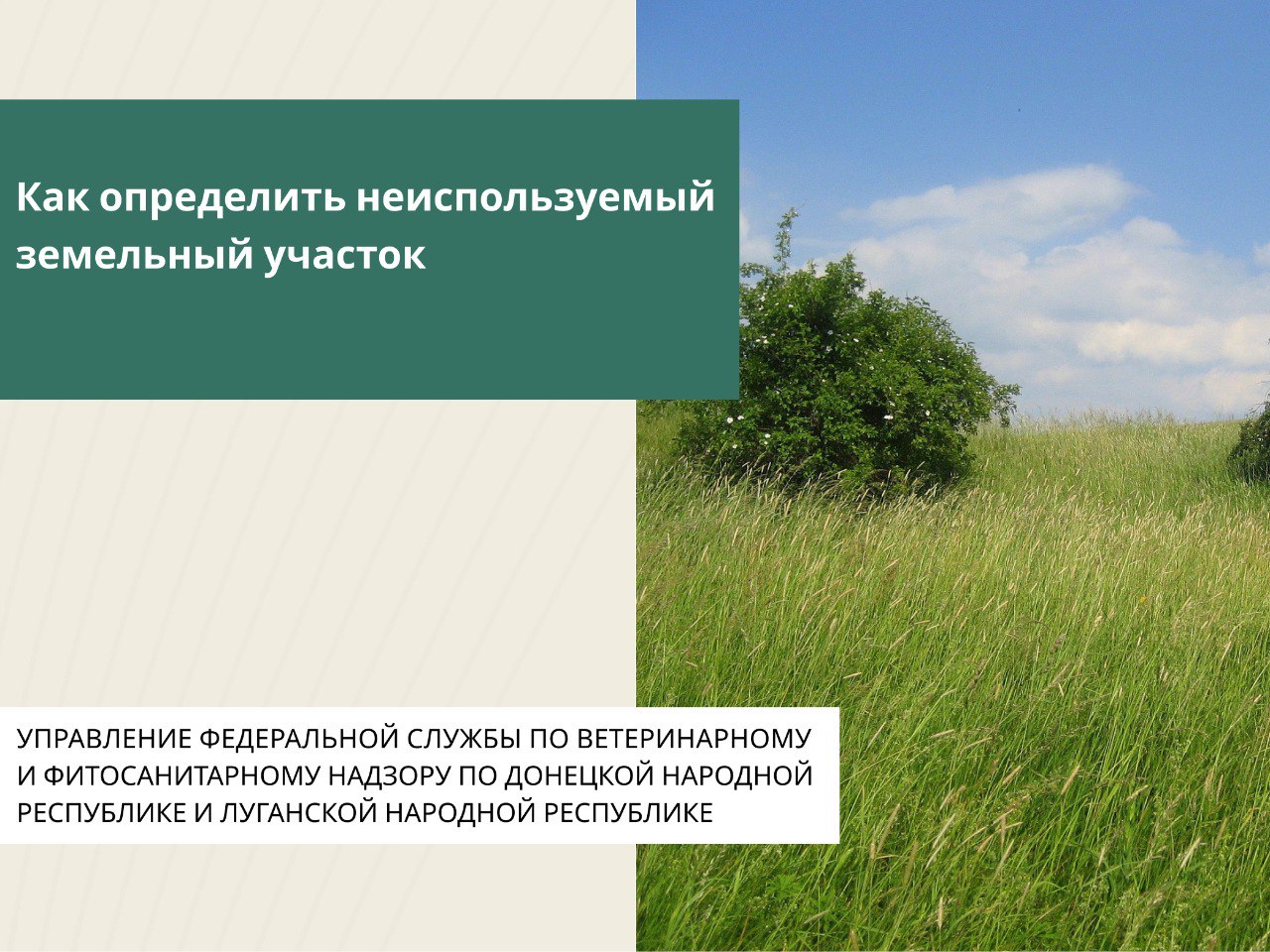 Признаки неиспользования земельных участков по целевому назначению или использования с нарушением законодательства Российской Федерации с учетом особенностей ведения сельского хозяйства или осуществления иной связанной с...