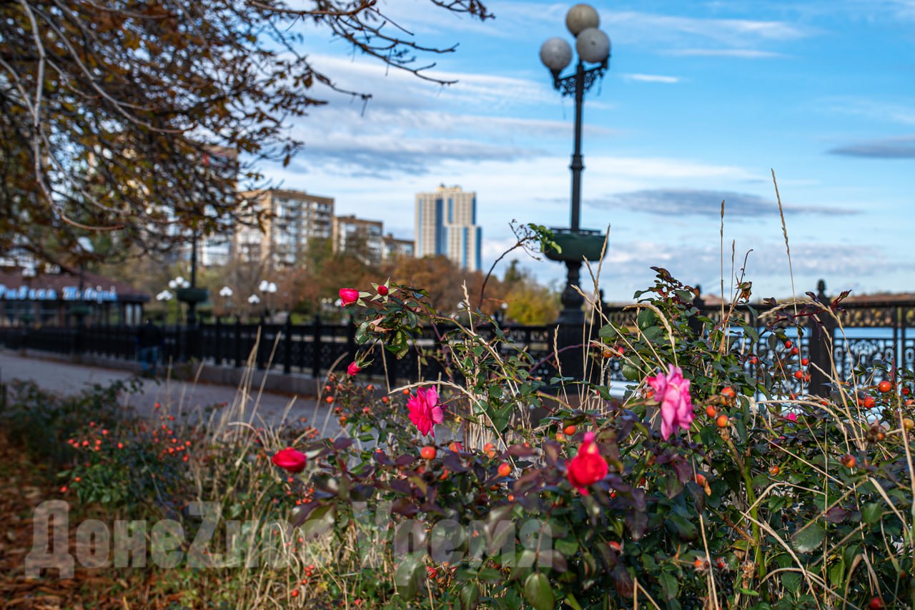 Фотопрогулки по Донецку: золотая осень на Набережной Кальмиуса Фотопрогулки по Донецку: золотая осень на Набережной Кальмиуса