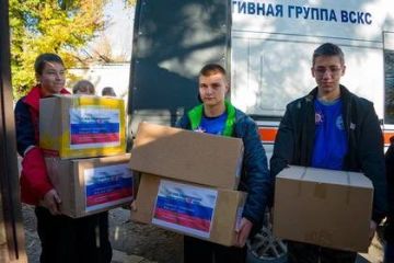 Активисты доставили гумпомощь приютам «4 лапки» и «Кошкин дом» в Донецке