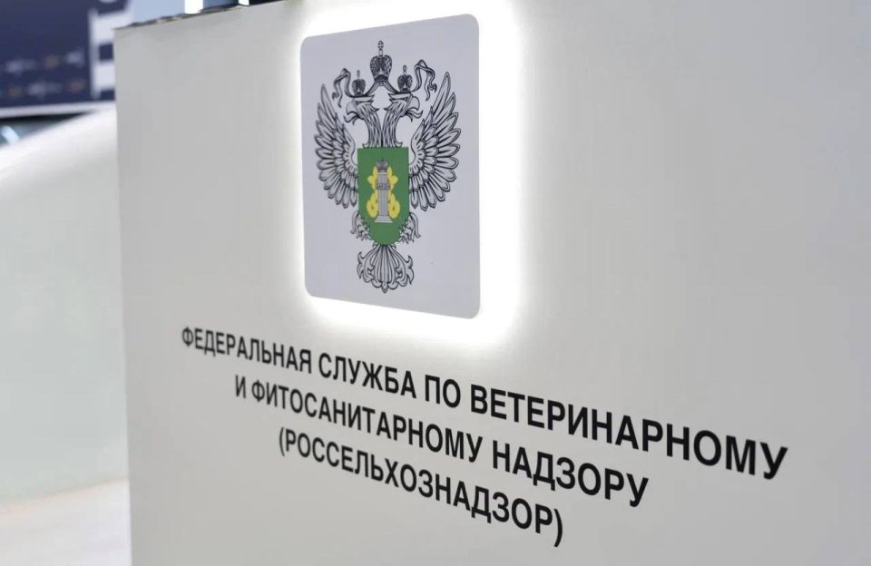 Признаки неиспользования земельных участков по целевому назначению или использования с нарушением законодательства Российской Федерации с учетом особенностей ведения сельского хозяйства или осуществления иной связанной с... Признаки неиспользования земельных участков по целевому назначению или использования с нарушением законодательства Российской Федерации с учетом особенностей ведения сельского хозяйства или осуществления иной связанной с...
