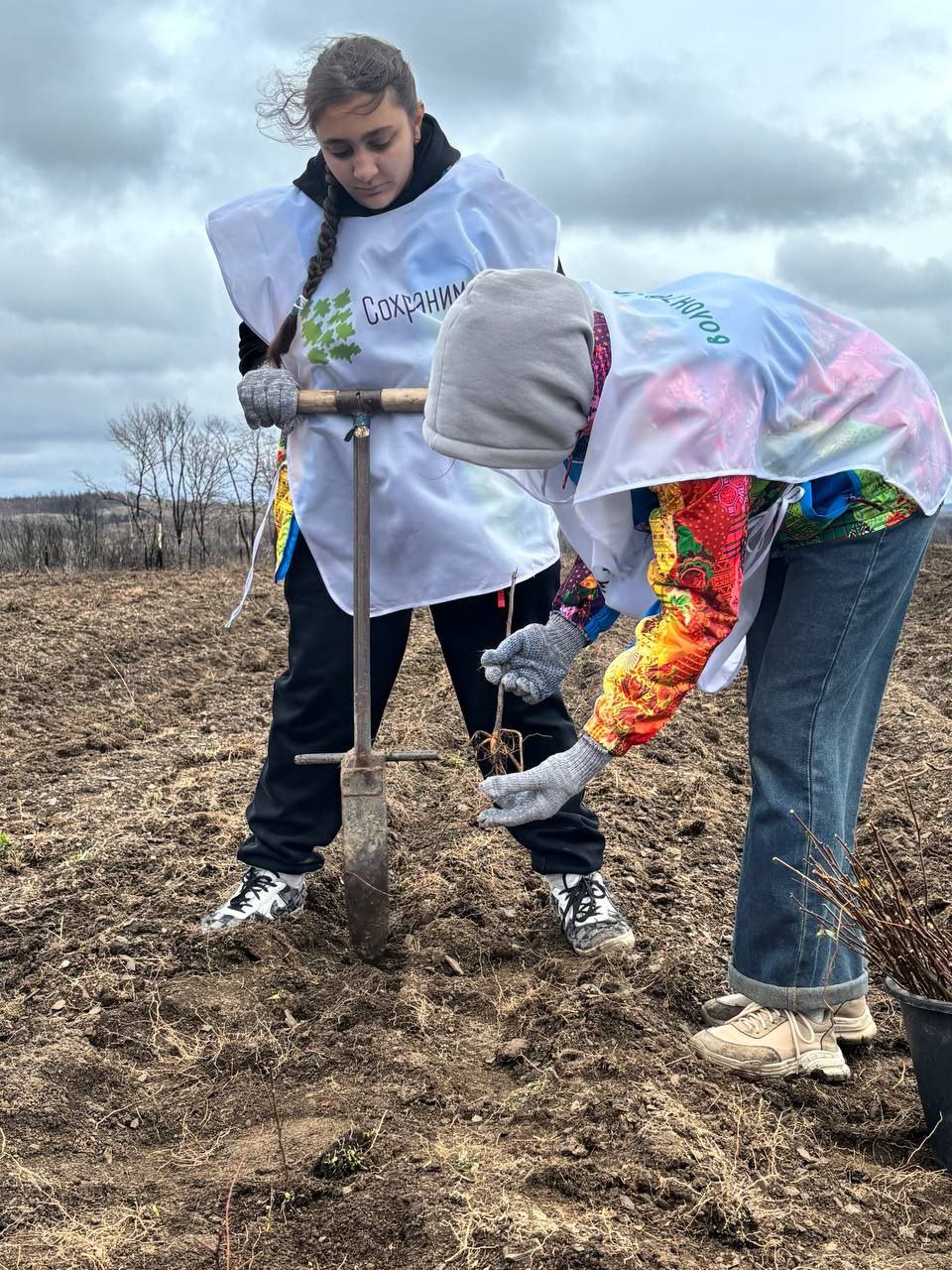 Сотрудники Минприроды ДНР приняли участие в акции «Сохраним лес» Сотрудники Минприроды ДНР приняли участие в акции «Сохраним лес»
