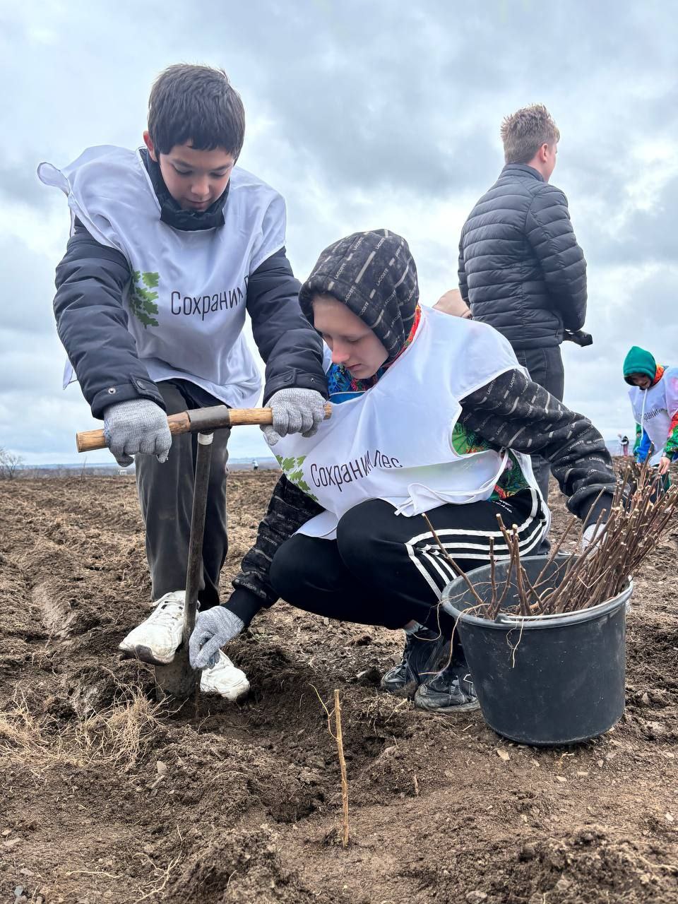 Сотрудники Минприроды ДНР приняли участие в акции «Сохраним лес» Сотрудники Минприроды ДНР приняли участие в акции «Сохраним лес»