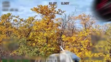 Удары беспилотниками по целям в районе Орехово на южном охвате Покровска