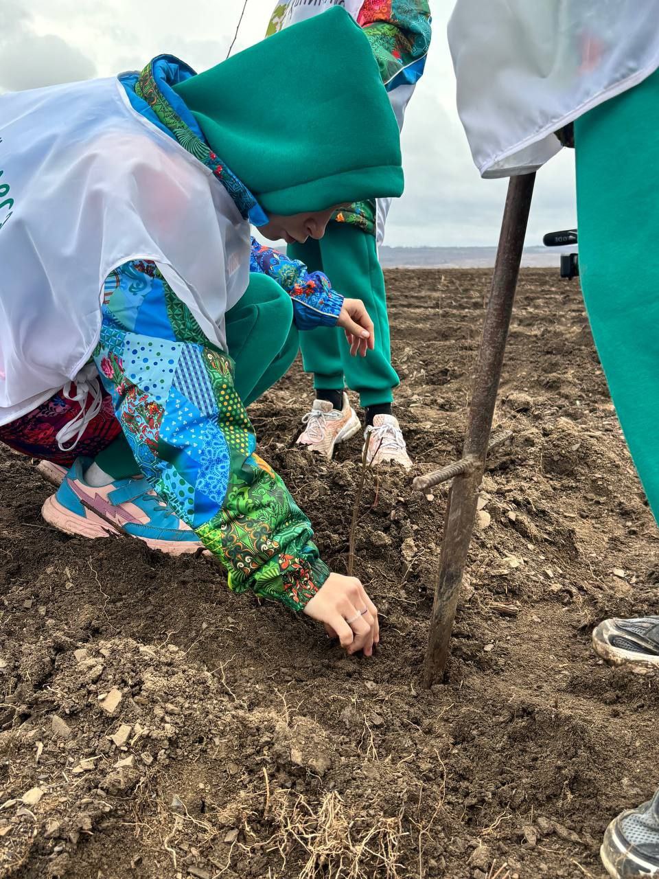 Сотрудники Минприроды ДНР приняли участие в акции «Сохраним лес» Сотрудники Минприроды ДНР приняли участие в акции «Сохраним лес»