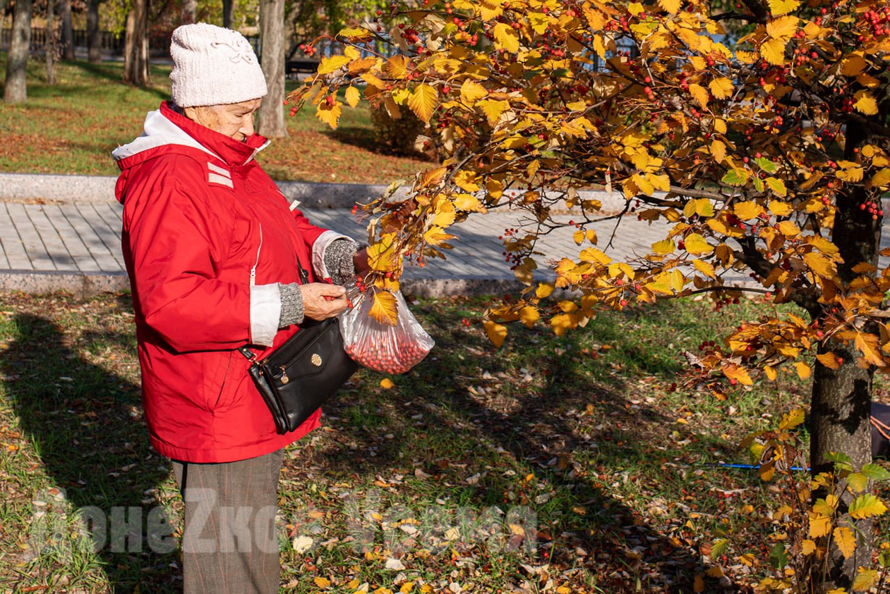 Фотопрогулки по Донецку: золотая осень на Набережной Кальмиуса Фотопрогулки по Донецку: золотая осень на Набережной Кальмиуса