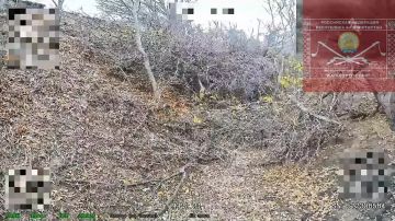 У наших войск на всех направлениях всё