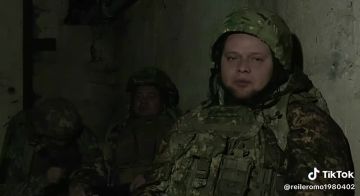 Дмитрий Стешин: Пошли заплачки из Покровска/Красногоровки: