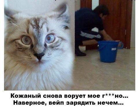 В любимых зумерами вейпах обнаружены какашки