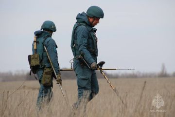 #МЧСДНР_СВОД за сутки. Ликвидировано 9 пожаров