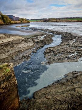  :           ,          ...