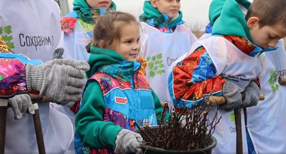 Для красоты и защиты: в Амвросиевском лесничестве высадили больше 65 тысяч саженцев акации белой Для красоты и защиты: в Амвросиевском лесничестве высадили больше 65 тысяч саженцев акации белой