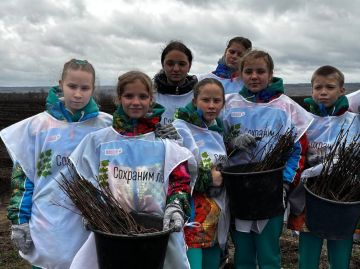 Владимир Ежиков: В этом году восстановим 40 га насаждений в рамках акции «Сохраним лес»