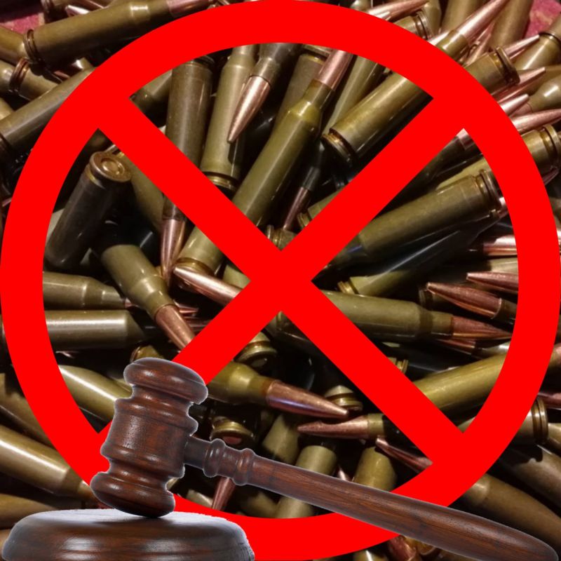 Житель г. Ясиноватая осужден за незаконное приобретение, хранение боеприпасов