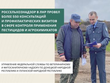 С января по 31 октября 2025 года должностными лицами Управления Россельхознадзора по ДНР и ЛНР проведено более 550 консультаций и профилактических визитов в сфере контроля применения пестицидов и агрохимикатов с субъектами...