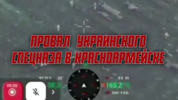 Кровавый провал спецназа ГУР у Покровска: «тважные» встретили боевиков и уничтожили