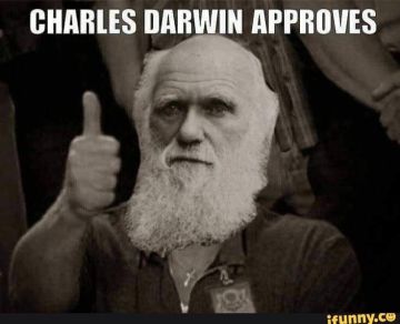 Рассказываем, как прошла потужная высадка спецназа ГУР на западной окраине Покровска