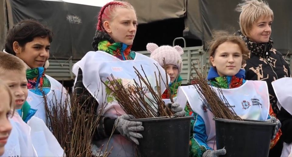 Для красоты и защиты: в Амвросиевском лесничестве высадили больше 65 тысяч саженцев акации белой Для красоты и защиты: в Амвросиевском лесничестве высадили больше 65 тысяч саженцев акации белой