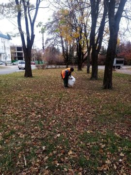 Иван Адамец: В Куйбышевском районе специалисты муниципального предприятия «Зеленстрой» осуществляют плановые работы по благоустройству и содержанию территории
