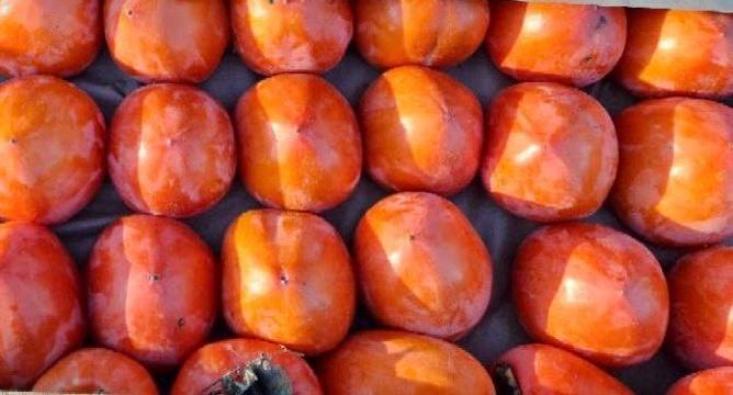 Еженедельная ярмарка в городе Мариуполь Еженедельная ярмарка в городе Мариуполь