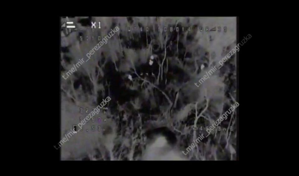 Новые дополнительные кадры ликвидации боевиков ГУР Новые дополнительные кадры ликвидации боевиков ГУР