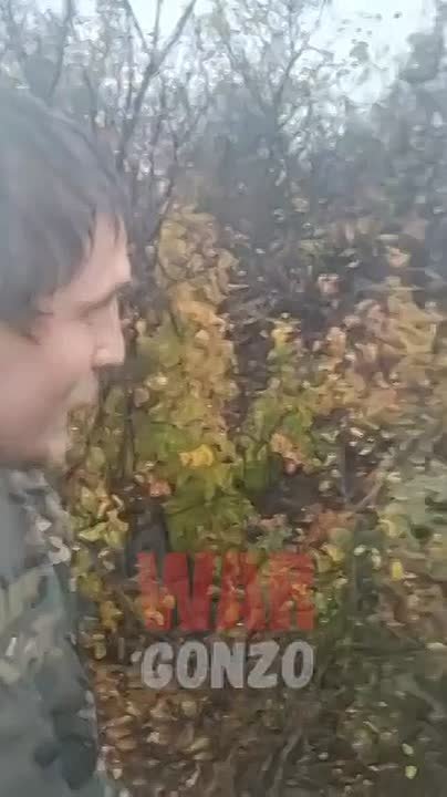 WarGonzo: Подвиг в тумане: как два русских бойца угнали у врага «Бабу-Ягу»