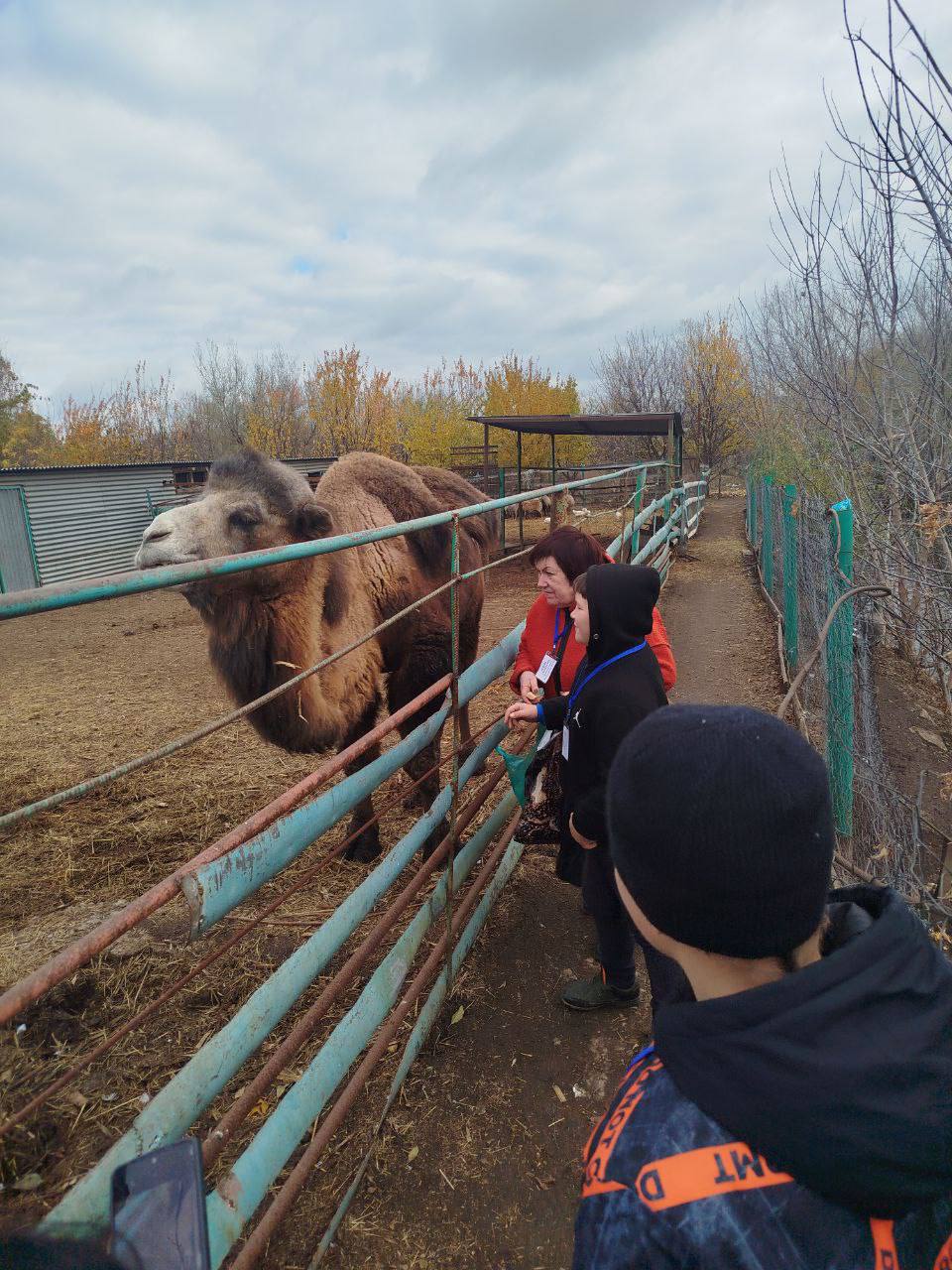 Отдел опеки и попечительства администрации городского округа Иловайск, при поддержке депутатов Иловайского городского совета организовали незабываемую поездку для детей льготных категорий в зоопарк, находящийся в селе... Отдел опеки и попечительства администрации городского округа Иловайск, при поддержке депутатов Иловайского городского совета организовали незабываемую поездку для детей льготных категорий в зоопарк, находящийся в селе...