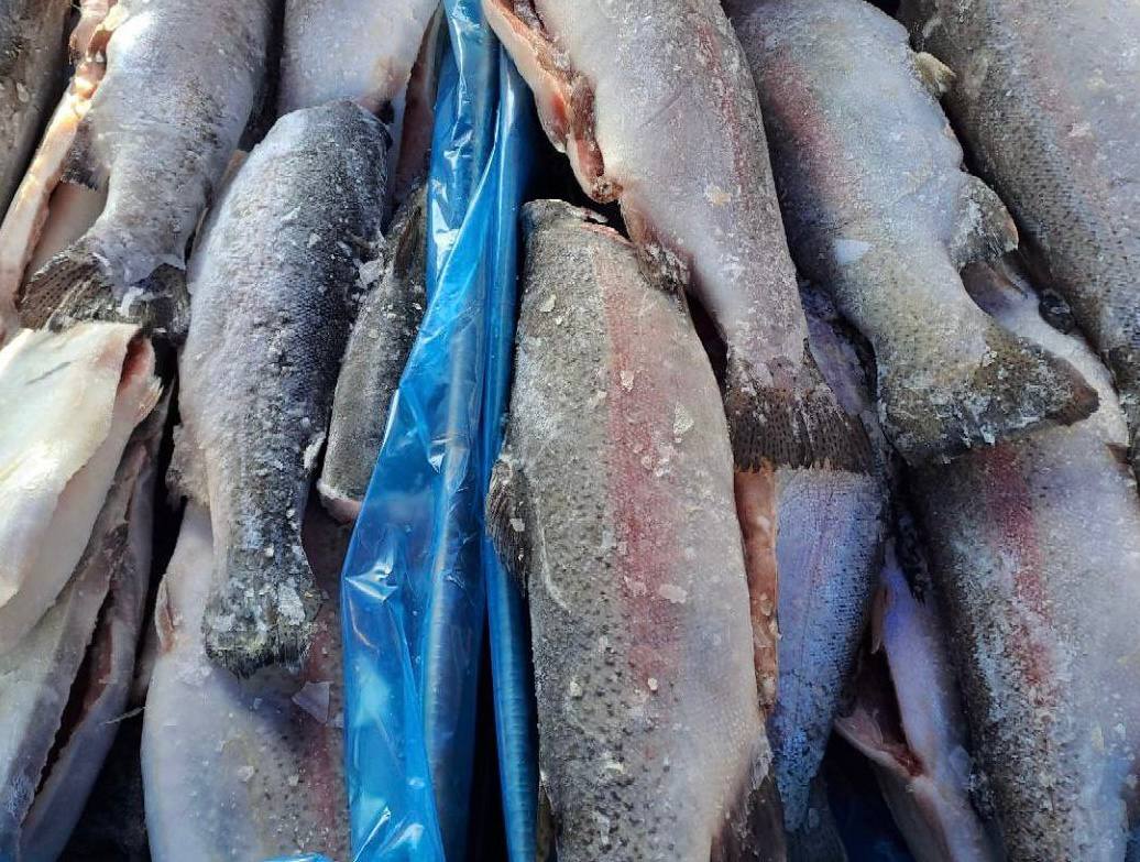 Еженедельная ярмарка в городе Мариуполь Еженедельная ярмарка в городе Мариуполь