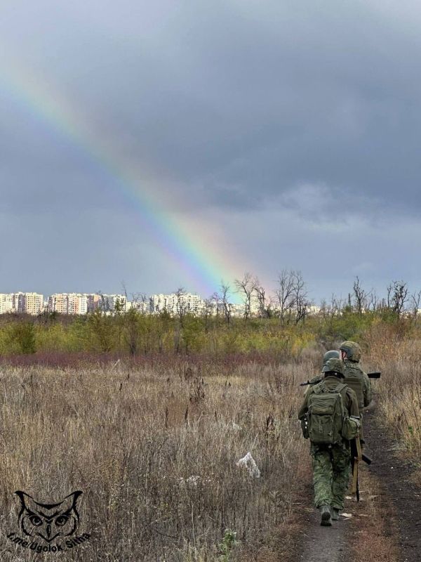 «Покровск потерян»: десантников Зеленского вырезали, прямо сейчас ВС РФ зачищают город «Покровск потерян»: десантников Зеленского вырезали, прямо сейчас ВС РФ зачищают город
