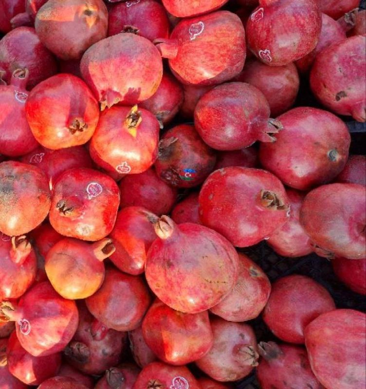 ������������ ������� � ������ ���������