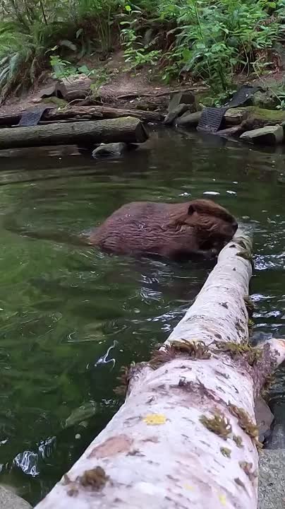 С добрым утром, Мариуполь!