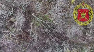 #от_подписчиков. На видео - работа отряда "Алеппо" 1472 гвардейского мотострелкового полка