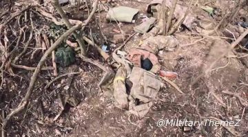 Эти захистники нэньки отвоевались в районе Покровска