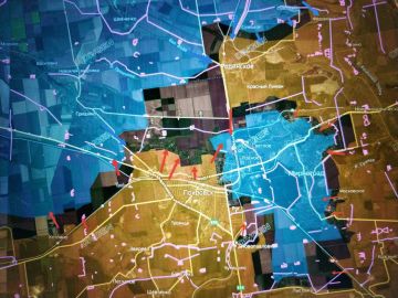 Покровское (Красноармейское) направление