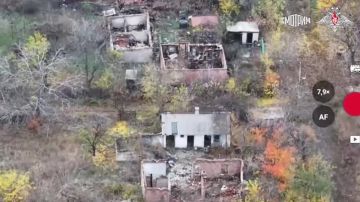   ""    24   ,   -    ,    