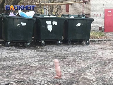 Огромный фаллос нашли у мусорных баков в Донецке