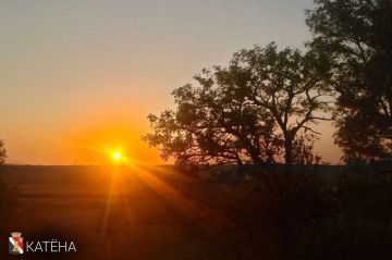 Продуктивного понедельника!