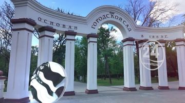 Мы в Telegram. Мы в МАХ