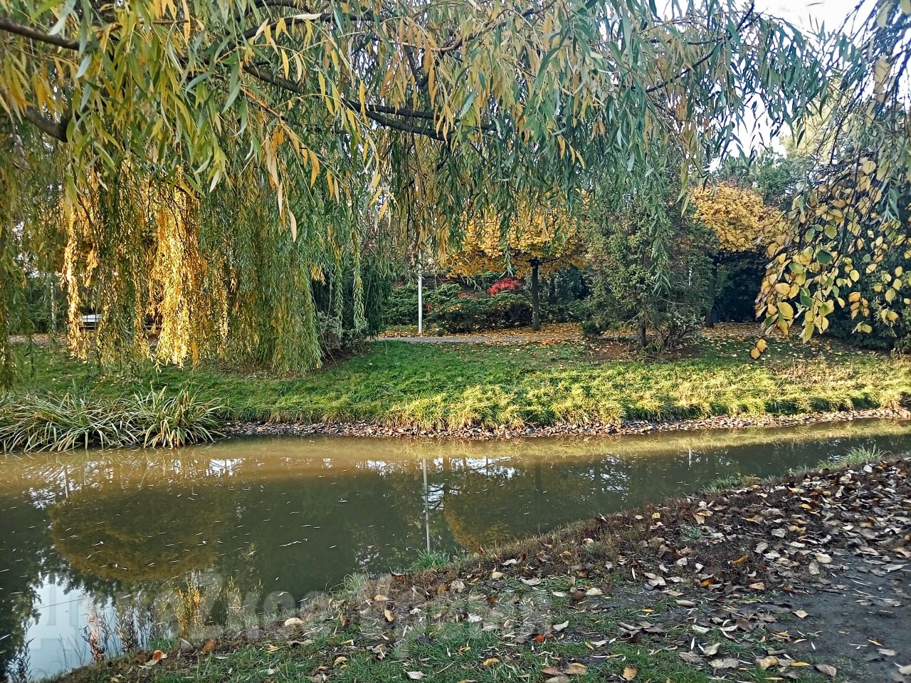 Воды не много, но она есть: после дождей водоемы в сквере у "Конти" в Донецке стали заметно полнее Воды не много, но она есть: после дождей водоемы в сквере у "Конти" в Донецке стали заметно полнее