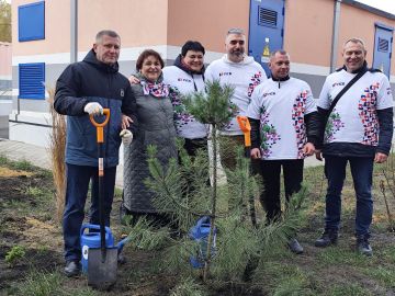 На территории Перинатального центра в Донецке высадили более 800 различных  деревьев и кустарников