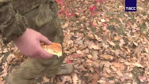 В ДНР бойцам на передовой приготовили пироги в День народного единства, рассказал ТАСС пекарь Анатолий Терешин