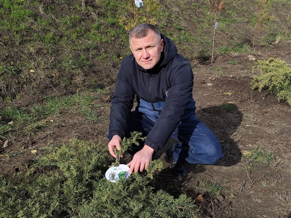 ������������ � �����, �������������� ��������� � ��� "��� ������" �� ���������� �������������� ������