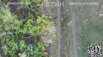 Игорь Гомольский: Друзья, вместе с Владимиром Разиным, Дмитрием Астраханем и Народным фронтом мы продолжаем сбор средств для легендарной 110-й бригады