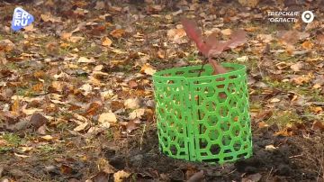 В регионах отмечают День народного единства