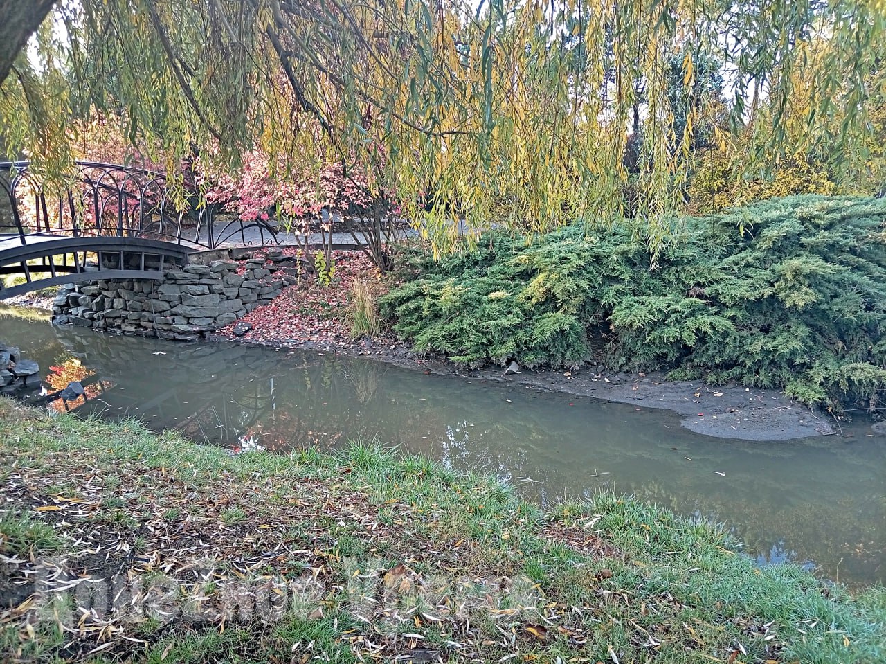 Воды не много, но она есть: после дождей водоемы в сквере у "Конти" в Донецке стали заметно полнее Воды не много, но она есть: после дождей водоемы в сквере у "Конти" в Донецке стали заметно полнее