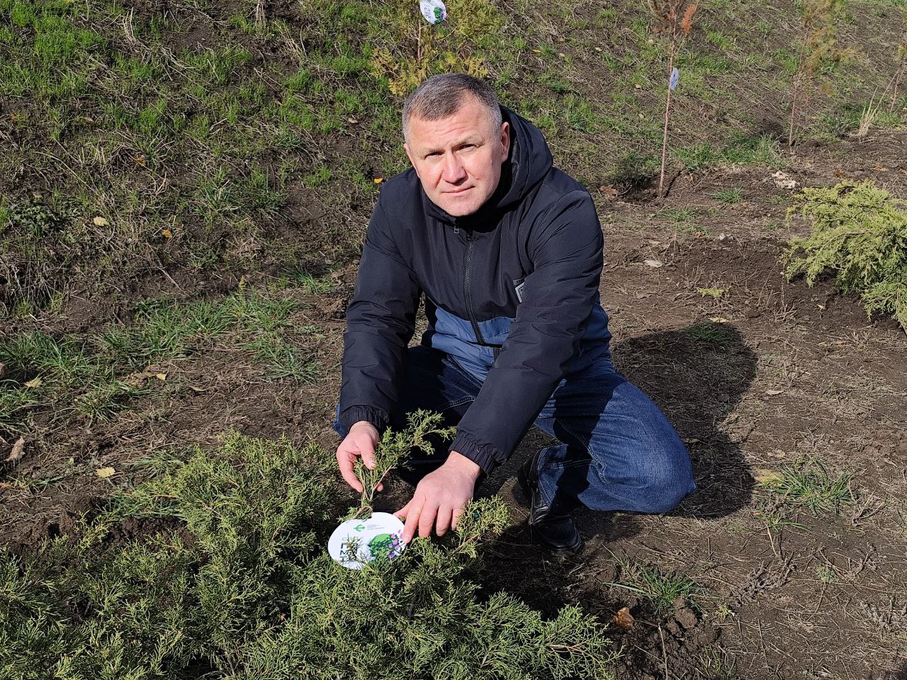 На территории Перинатального центра в Донецке высадили более 800 различных деревьев и кустарников На территории Перинатального центра в Донецке высадили более 800 различных деревьев и кустарников