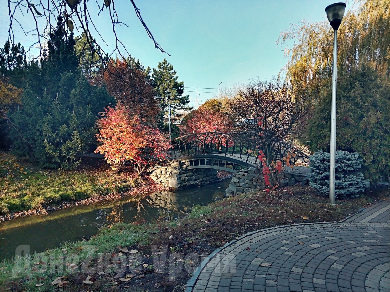 Воды не много, но она есть: после дождей водоемы в сквере у "Конти" в Донецке стали заметно полнее Воды не много, но она есть: после дождей водоемы в сквере у "Конти" в Донецке стали заметно полнее